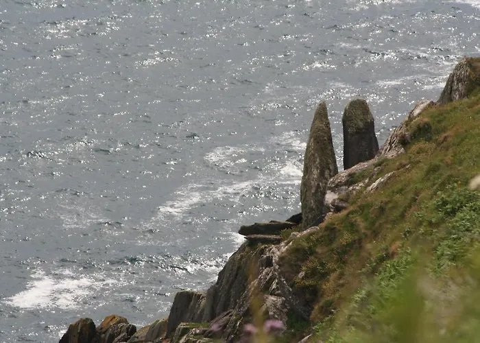 Couette-café Swallows Rest Anascaul